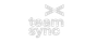 TeamSync